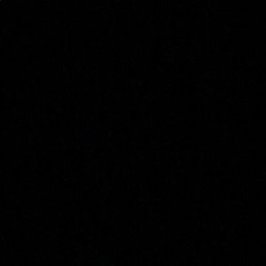 Meet your Posher, Kasey